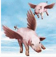 INVEST OR DIE: THESE TWO LITTLE PIGS HAVE WINGS